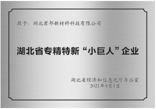 湖北省专精特新“小巨人”认定